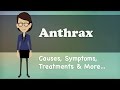 Anthrax - Causes, Symptoms, Treatments & More…