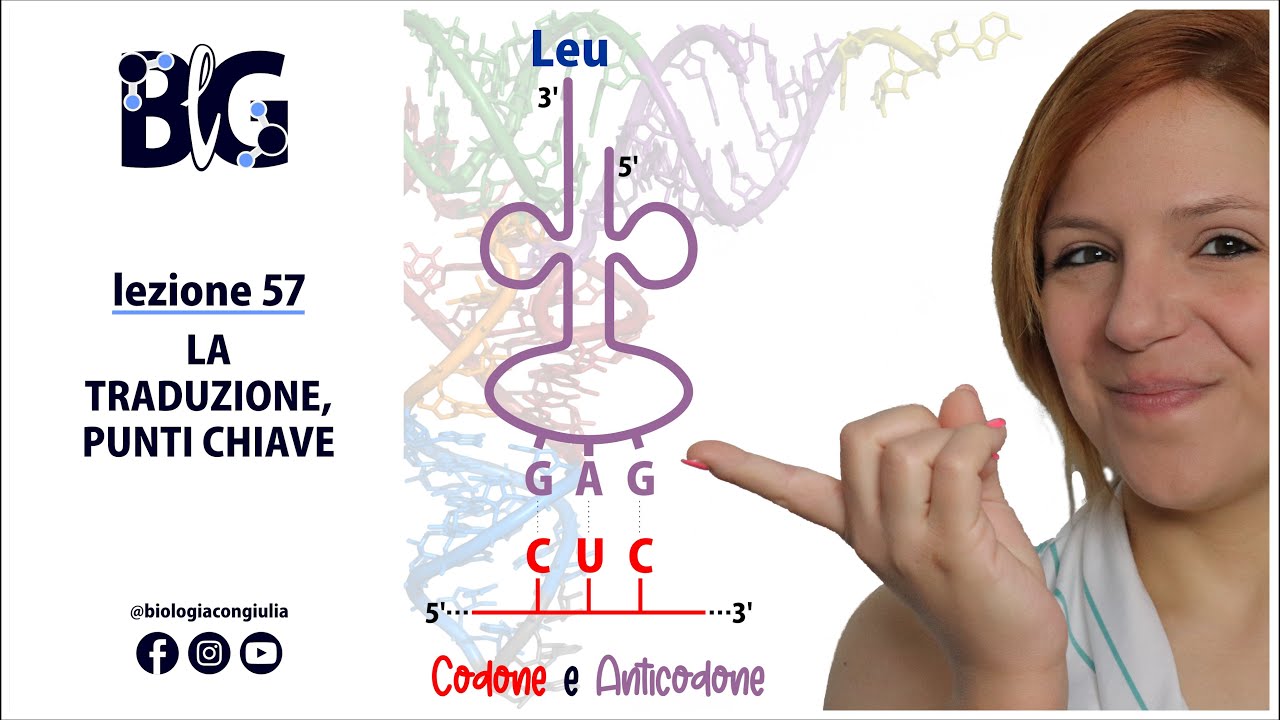 La TRADUZIONE - punti chiave