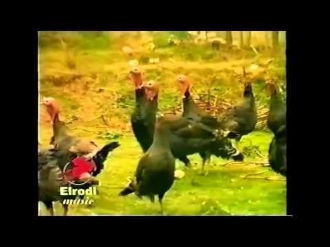 Bilibilat e Vrionit - Tuj tuj me pula deti (Official Video HD)