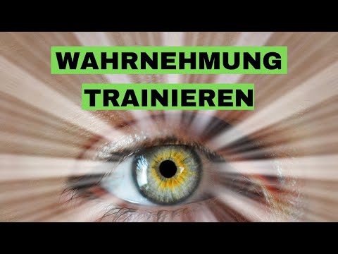 Intuition trainieren - wie verbesserst du deine Wahrnehmung? Eine Anleitung für Coaches& Therapeuten
