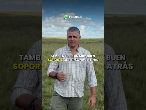 CASOS DE PRODUCTORES URUGUAYOS - FIELDDATA