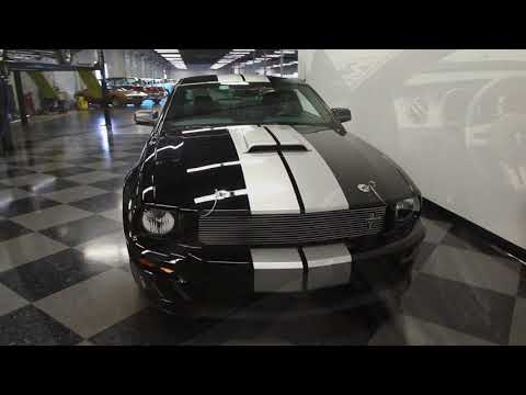 2007 Shelby GT (CC-1057696) for sale in Lutz, Florida
