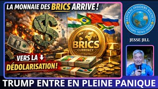 QUAND LA MONNAIE DES BRICS ÉMERGE TRUMP FAIT UNE TRES SÉRIEUSE CRISE DE PANIQUE. C'EST IRREVERSIBLE