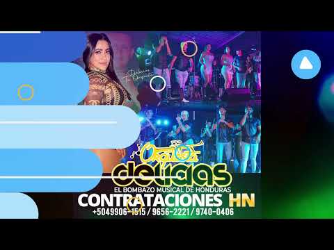 Orquesta Delicias Set 2