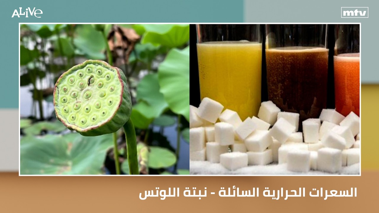 السعرات الحرارية السائلة - نبتة اللوتس