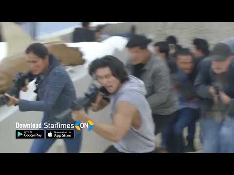 Brothers/EP747 An unwelcome visitor shows up to see Cardo/StarTimes