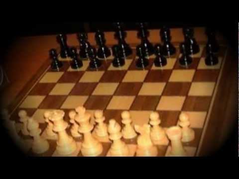 A Brief History Of Chess