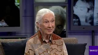 Jane Goodall on how Bigfoot might be real