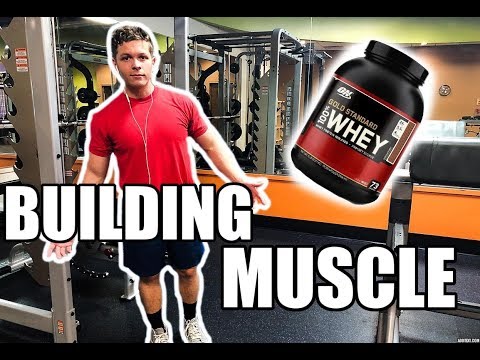 HOW I GAINED 15 POUNDS IN A MONTH: 2 MINUTE TUESDAY