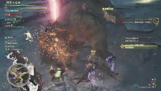 昼活なかはやワイルズ