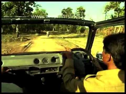 Ken River Lodge, Panna