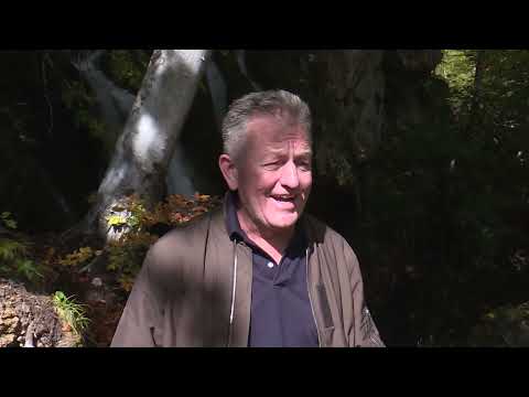 ZAPIS - Priče iz Vraneša