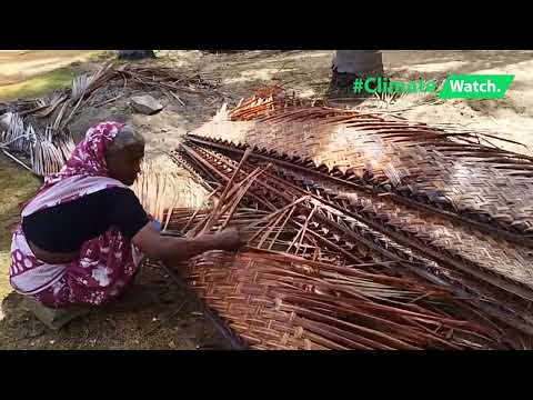 The Art of Palm Weaving | අතු වියන කලාව | தென்னை ஓலை முடைதல்