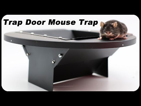 The TRAP Door Mouse Trap Makes Mice Disappear. A Great New Design. Mousetrap Monday.