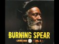 Burning Spear - Hit Dub.avi