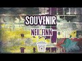 Neil Finn -  Souvenir (karaoke)