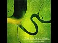 DEAD CAN DANCE - IN THE KINGDOM OF THE BLIND THE ONE EYED ARE KINGS
