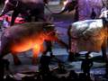 RINGLING CIRCUS