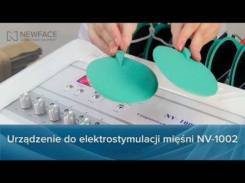 Ćwiczenia mięśni anatomia Sport power kulturystyka