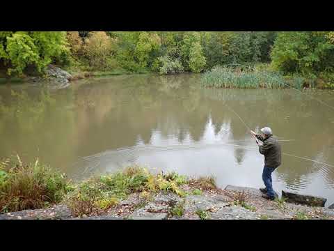 Spey casting CircleC switch