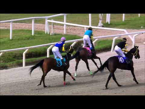 201213 c03 CHE CIELO