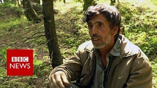 Exotic mushrooms boost fortunes in Kashmir - BBC News