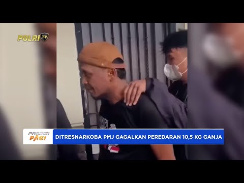DITRESNARKOBA POLDA METRO JAYA AMANKAN 10 KG GANJA