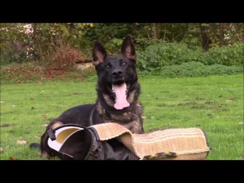 Satoris Uran - protection - 10/2019