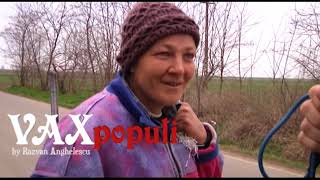 faze tari cavitate bucala