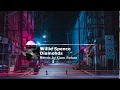 Willie Spence Diamonds Remix By Liam Rohan