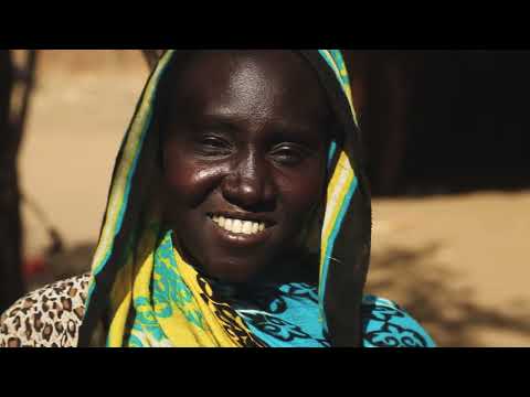 Witness21 Editor  2024 12 17