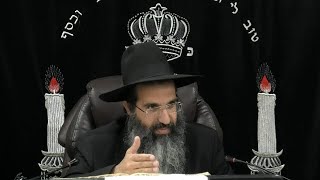 הלכות ספר תורה - א' - כתיבת ספר תורה | יורה דעה - סימן ער - רעא | חלק 453 | הרב שי עובד (הרב שי עובד) - התמונה מוצגת ישירות מתוך אתר האינטרנט יוטיוב. זכויות היוצרים בתמונה שייכות ליוצרה. קישור קרדיט למקור התוכן נמצא בתוך דף הסרטון