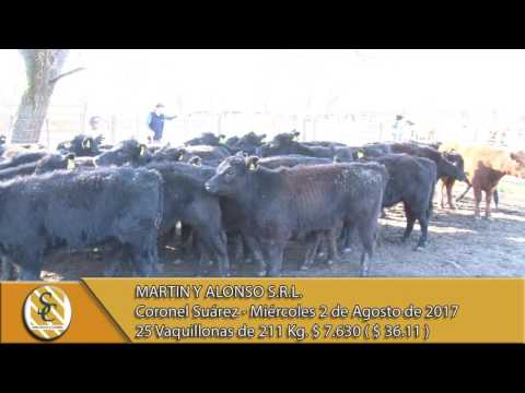 02-08-17 Venta de Hembra - Martin y Alonso S.R.L. - Coronel Suárez