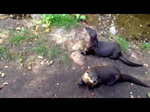 Im Wildtierpark Ekholt