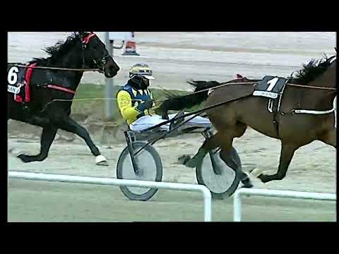 Napoli Trotto 27/02/2022 - 5ª corsa