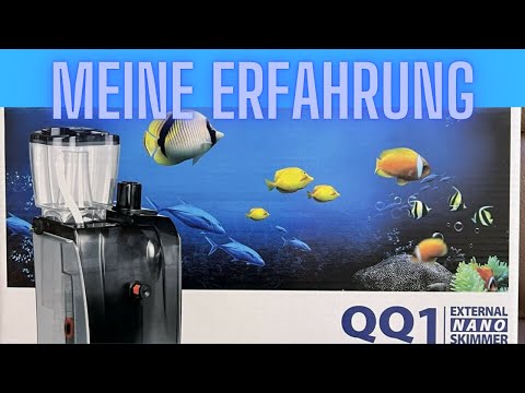 Mein Bubble Magus QQ1 Nano Abschäumer