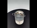Georg Jensen Sterling Silver Earrings No 463 B