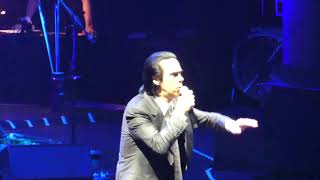 Nick Cave &amp; the Bad Seeds - Joy, live in Oberhausen 2024