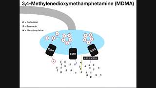 MDMA (Ecstasy) | Mechanism of Action & Metabolism
