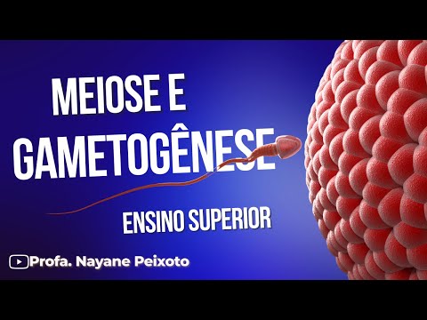 Embryology: MALE AND FEMALE GAMETOGENESIS + MEIOSIS
