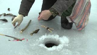 Ротан зимой на жерлицы. ловля ротана