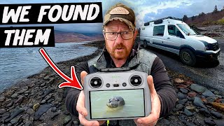 Vanlife & Wildlife on the Isle of Mull! 🏴