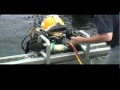 Dive International