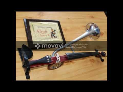 Vioara cu goarna - Stangaciu - pe picior 1