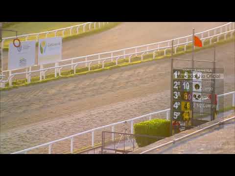 HIPODROMO LAS PIEDRAS 27/2/2026 - EN VIVO