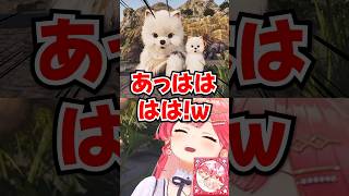 「ARKに可愛い生物いるぅ！」アキロゼにモフモフなポメラニアンにしてもらって爆笑するみこちwww【ホロライブ】