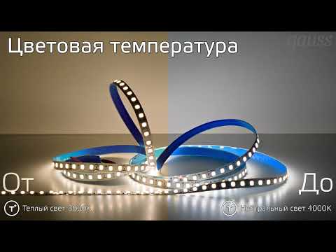 Миниатюра изображения товара Светодиодная лента Gauss Basic LED 2835/120 12V 10W/m 700lm/m 3000K 8mm IP20 2m / BT035