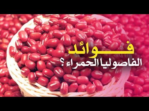 ما هي فوائد الفاصوليا الحمراء ؟