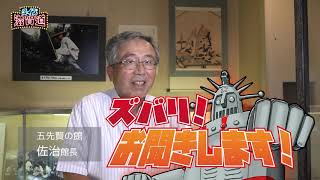 2020/09/17放送・知ったかぶりカイツブリにゅーす