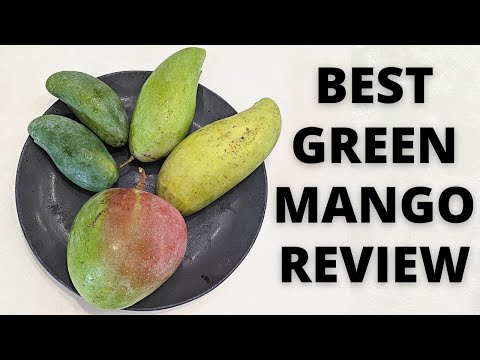 What is the Best Tasting Green Mango // Nam Dok Mai, R2E2, Keow Savoy, Kook Lom Krom, Apple Mango